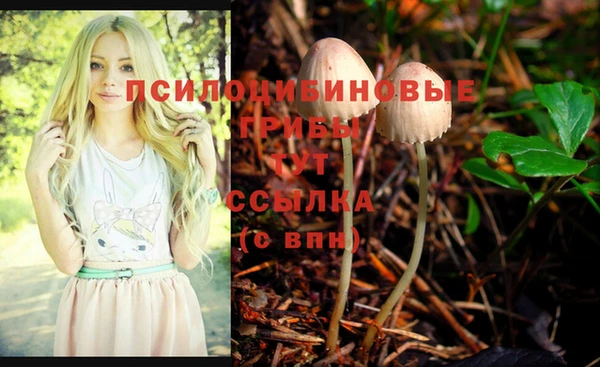 герыч Горно-Алтайск