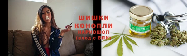 эйфоретик Горняк