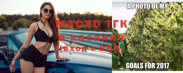 эйфоретик Горняк