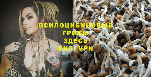 эйфоретик Горняк