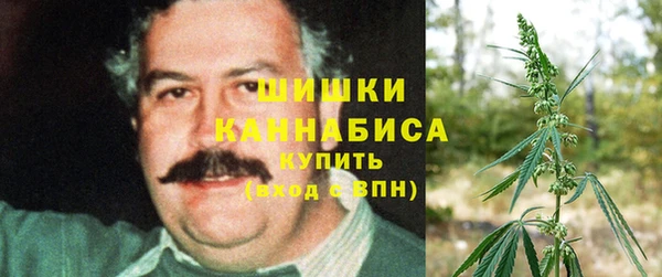 эйфоретик Горняк