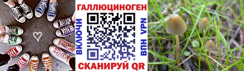 ОМГ ОМГ ССЫЛКА продажа наркотиков Нязепетровск Псилоцибиновые грибы Psilocybine cubensis